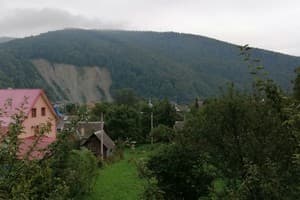 Яблуневий сад 3