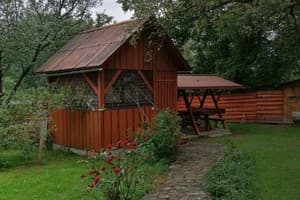 Яблуневий сад 5