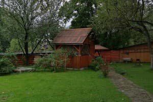 Яблуневий сад 8