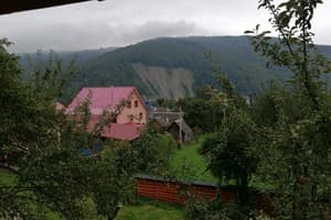 Яблуневий сад 9