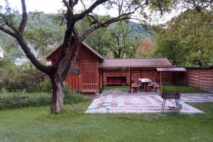 Яблуневий сад 17