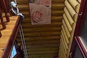 Яблуницька троянда 33