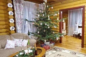 Яблуницька троянда 10