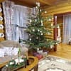 Яблуницька троянда 11-12/37