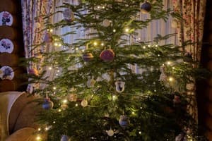 Яблуницька троянда 12