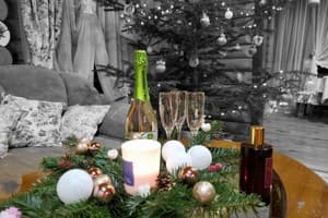 Яблуницька троянда 16