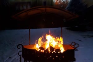 Яблуницька троянда 20