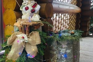 Яблуницька троянда 26