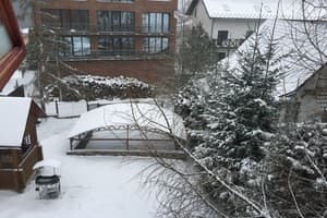 Яблуницька троянда 27