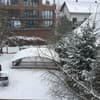 Яблуницька троянда 28-29/37