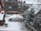 Яблуницька троянда 28