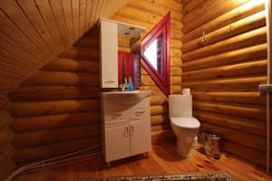 Яблуницька троянда 29