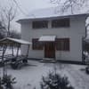 Ялівець 24-25/25
