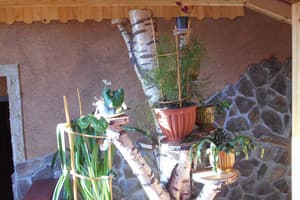 Зачаровані Карпати  6