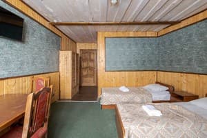 Мини-отель Затишок. Стандарт трехместный с балконом 5