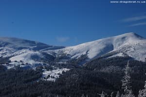 Зеленая Дача 5