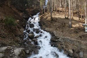 Зеленая Дача 8