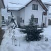 Згарда 19