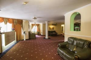 Золота Пава 1