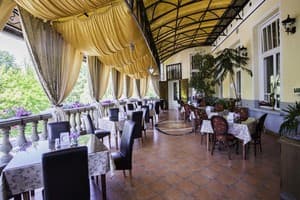 Золота Пава 2