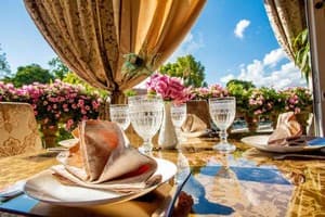 Золота Пава 12