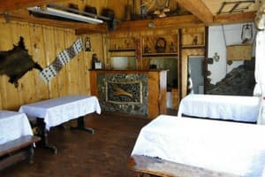 Золота рибка 7