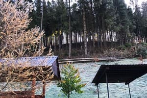 Золотые ключи 5