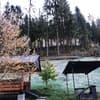 Золотые ключи 5-6/17