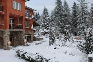 Золотое Руно 15