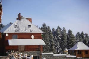 Золотое Руно 26