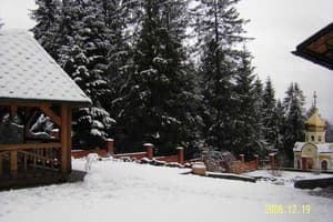 Золотое Руно 16