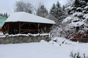 Золотое Руно 19