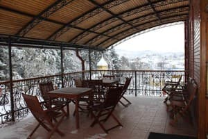 Золотое Руно 25