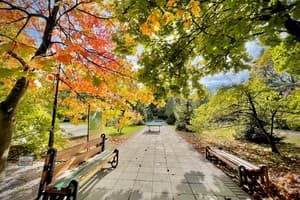 на території санаторію Квітка Полонини 12