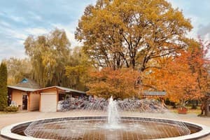 на території санаторію Квітка Полонини 18