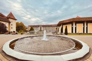 на території санаторію Квітка Полонини 19